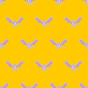 Motif Ptéra Pokémon Shirts.jpg