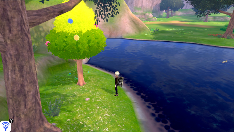 Fichier:Plaine des Efforts Arbre à Baies 2 EB.png