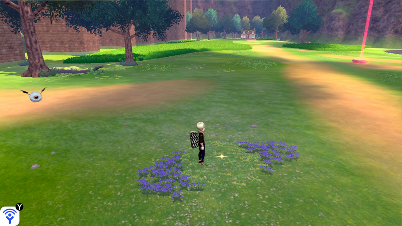 Fichier:Prairie Entre-Ponts Objet Caché 6 EB.png