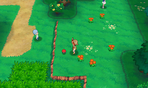 Route 104 Poké Ball 2 ROSA.png