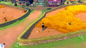Route 4 Herbe Rappel EB.png