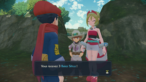 Arène du Grand Arbre Baie Sitrus LPA.png
