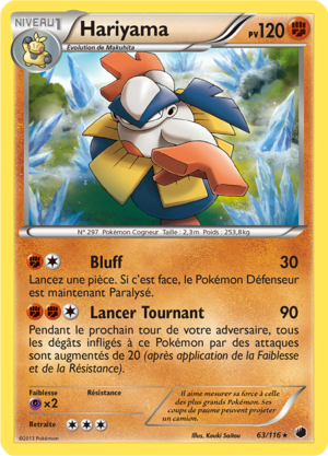 Carte Noir & Blanc Glaciation Plasma 63.png