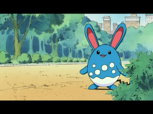 Chronicles 02 - Azumarill Sauvage.png