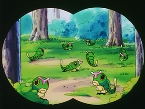 EP097 - Chenipan.png