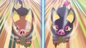 LH036 - Fragroin Damoclès.png