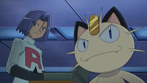 NB036 - Miaouss de la Team Rocket.png