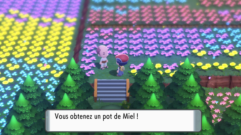 Fichier:Pré de Floraville Miel 1 DEPS.png