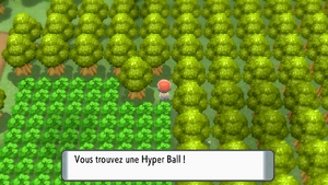 Route 210 Hyper Ball DEPS.png