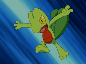 AG016 - Arcko de Sacha.png