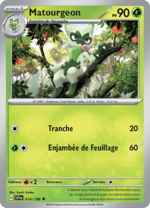 Carte Écarlate et Violet 014.png