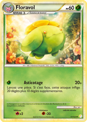 Carte HeartGold & SoulSilver 51.png