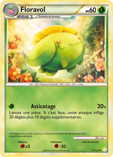 Fichier:Carte HeartGold & SoulSilver 51.png
