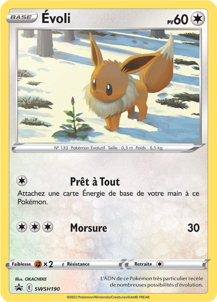 Fichier:Carte Promo SWSH SWSH190.png