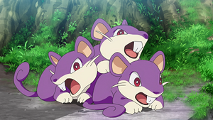 LV020 - Rattata.png