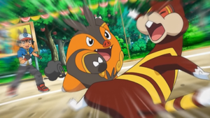 NB134 - Miradar d'un Dresseur.png