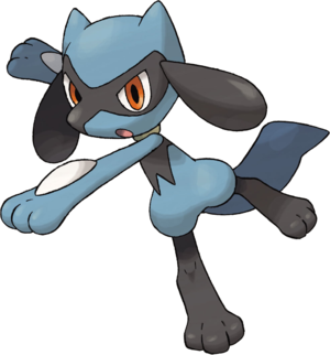 Riolu-DP.png