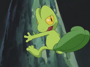 AG031 - Arcko de Sacha.png