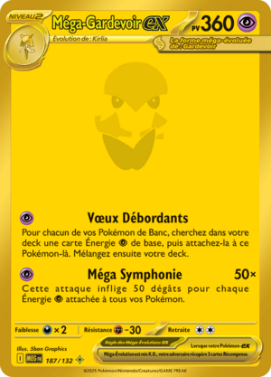 Carte Méga-Évolution 187.png