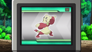 NB046 - Kungfouine Pokédex.png