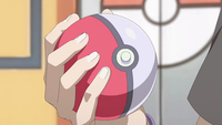 Une Poké Ball. (Épisode : Le challenger)