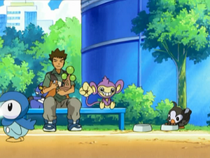 DP011 - Étourmi de Sacha.png