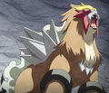 Entei (sauvage)