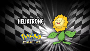Épisode 768 - Pokémon inconnu révélé.png