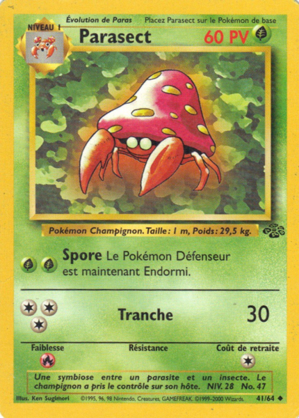 Fichier:Carte Jungle 41.png