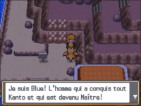 Le « Maître » dans Pokémon Or HeartGold et Argent SoulSilver.