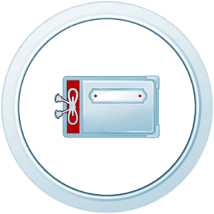 Médaille Hisui Argent - GO.png