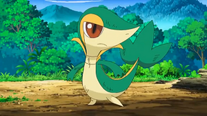 NB025 - Vipélierre de Sacha.png