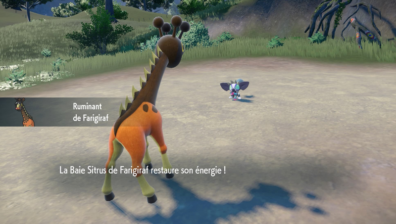 Fichier:Ruminant EV.png