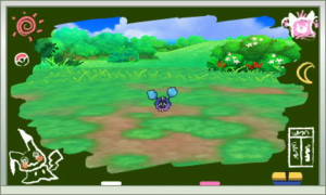 Studio Photo USUL - Bordure 3.png