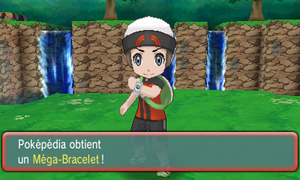 Île du Sud Méga-Bracelet ROSA.png
