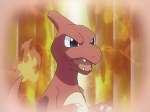 AG189 - Reptincel de Sacha (Flash-back).png
