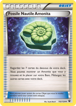 Fossile Nautile Amonita (XY Impact des Destins 102)