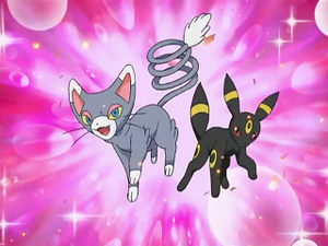 DP141 - Chaglam et Noctali de Johanna.png