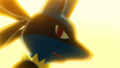 Lucario (de Sacha)