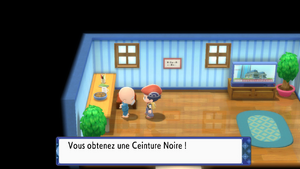 Route 221 Ceinture Noire DEPS.png