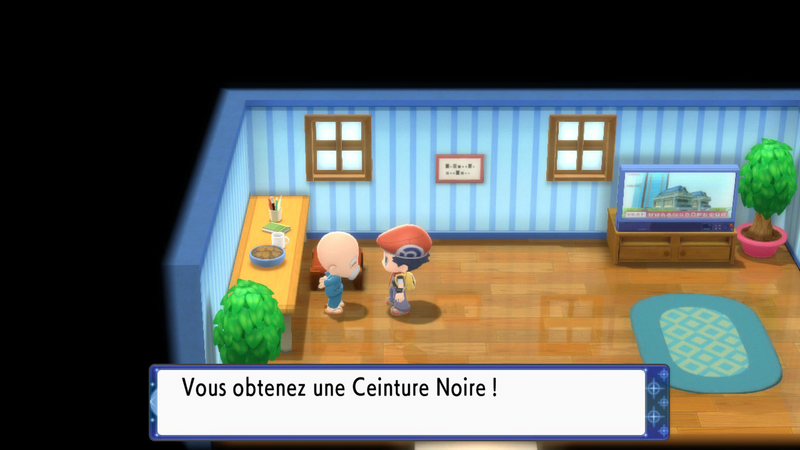Fichier:Route 221 Ceinture Noire DEPS.png