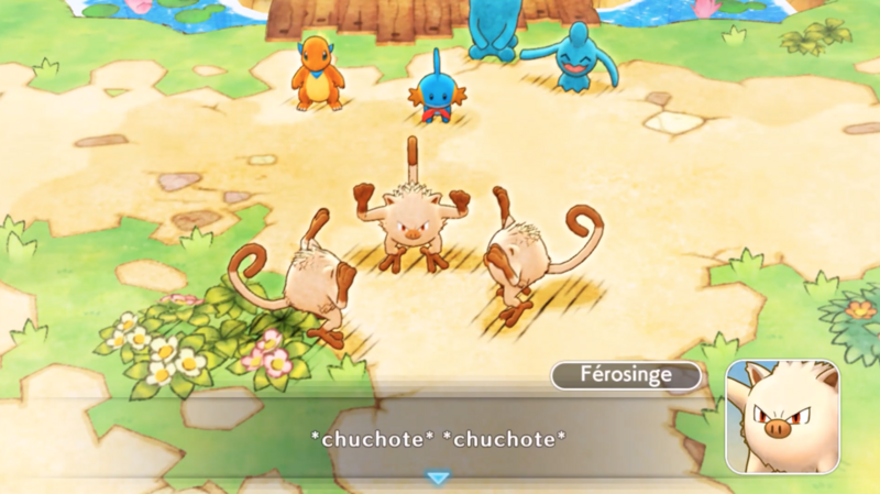 Fichier:Bois Brouhaha (4) PDMDX.png