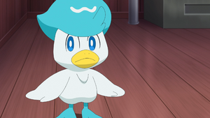 LH007 - Coiffeton.png