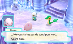 Munna confie l'avenir du monde au joueur et à son partenaire et leur demande de continuer sans se préocupper de son état.