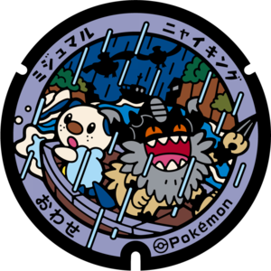 Poké Lid 384 Owase.png