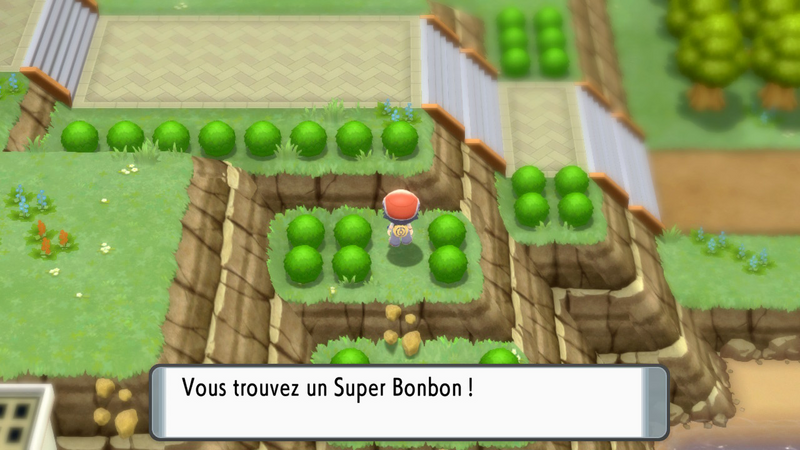 Fichier:Rive du Lac Courage Super Bonbon DEPS.png
