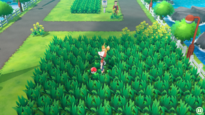 Route 17 Baie Nanana argentée LGPE.png