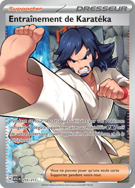 Fichier:Carte Méga-Évolution Héros Transcendants 255.png