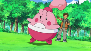 DP173 - Ptiravi de Pierre.png