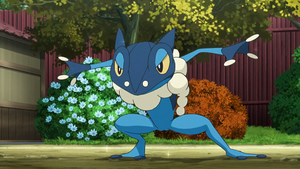 XY075 - Croâporal de Sacha.png